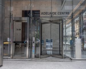 Balanced Door